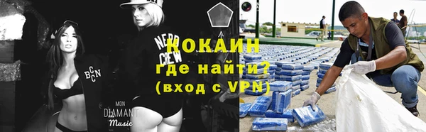 прущие грибы Новозыбков