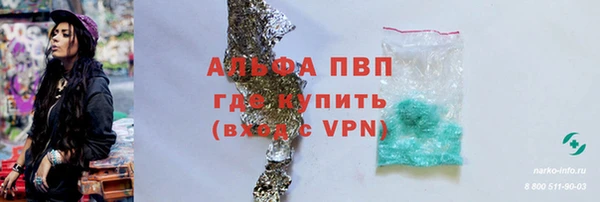 крисы Алексин