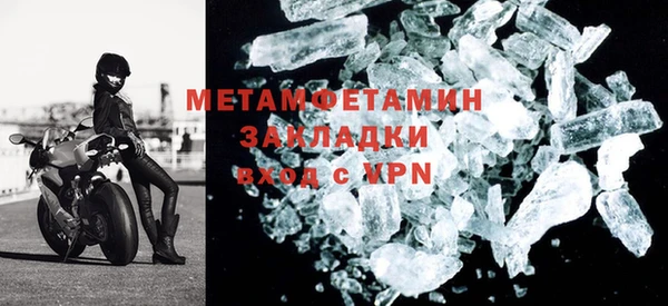прущие грибы Новозыбков