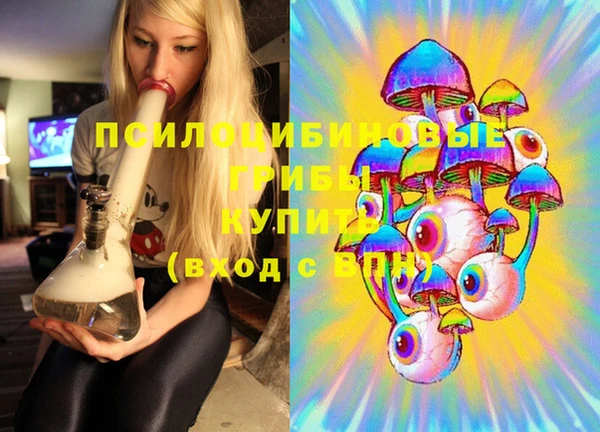 крисы Алексин